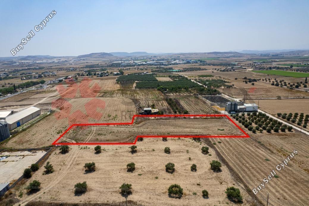 land for sale athienou larnaca 7903031 image 11107597