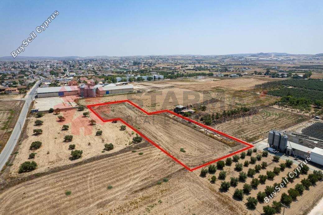 land for sale athienou larnaca 7903031 image 11107601
