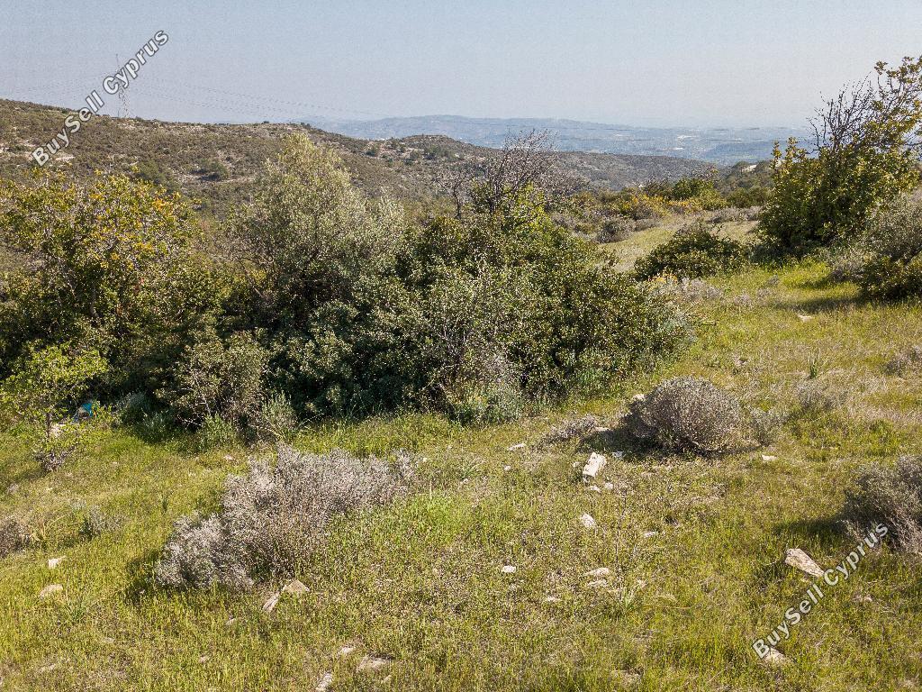 land for sale ora larnaca 1029031 image 15602124