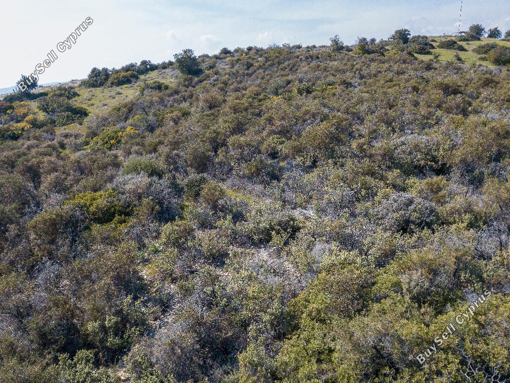 land for sale ora larnaca 1029031 image 15602125