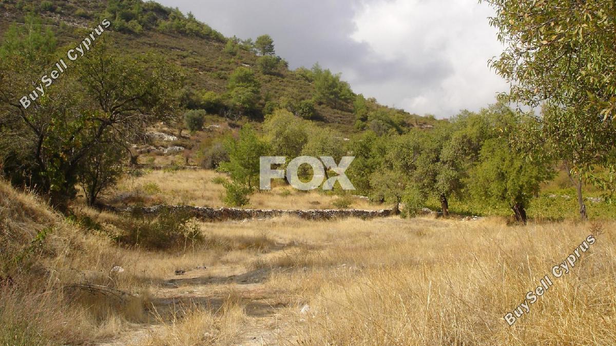 land for sale pera pedi limassol 7926131 image 11361515