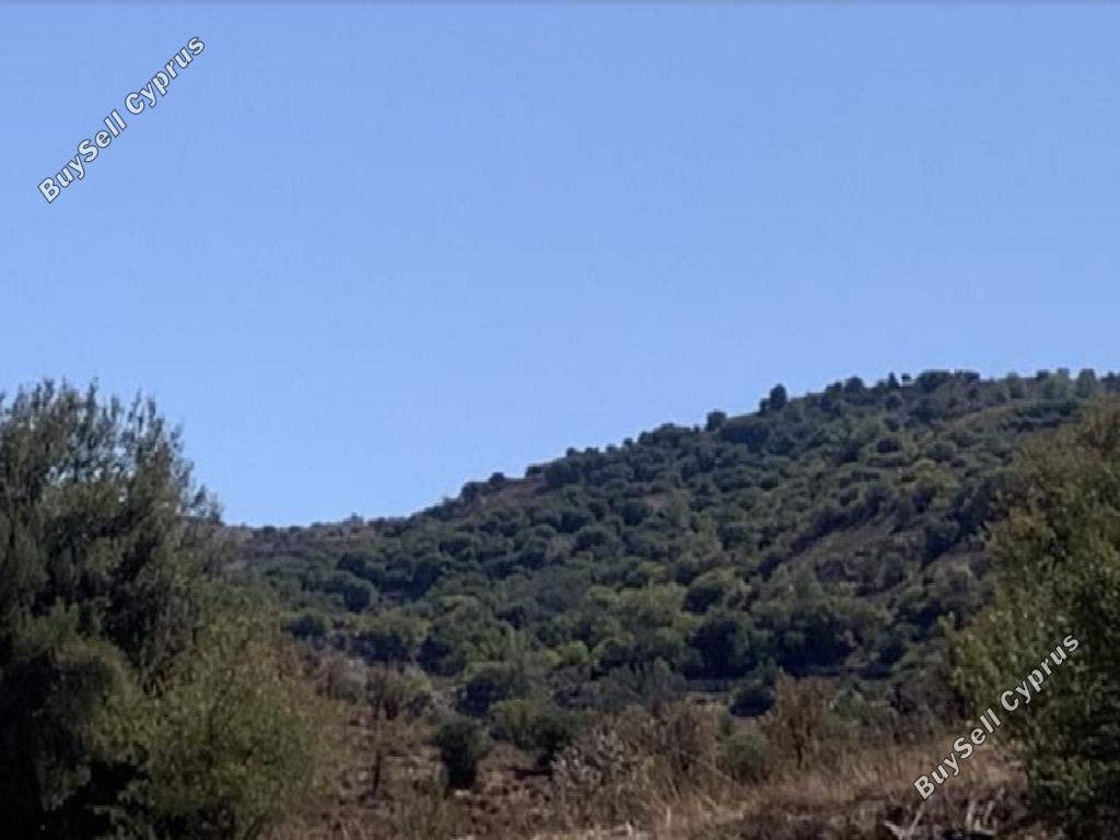 16723 SQM Land for sale in Statos Agios Fotios, Paphos 15597274