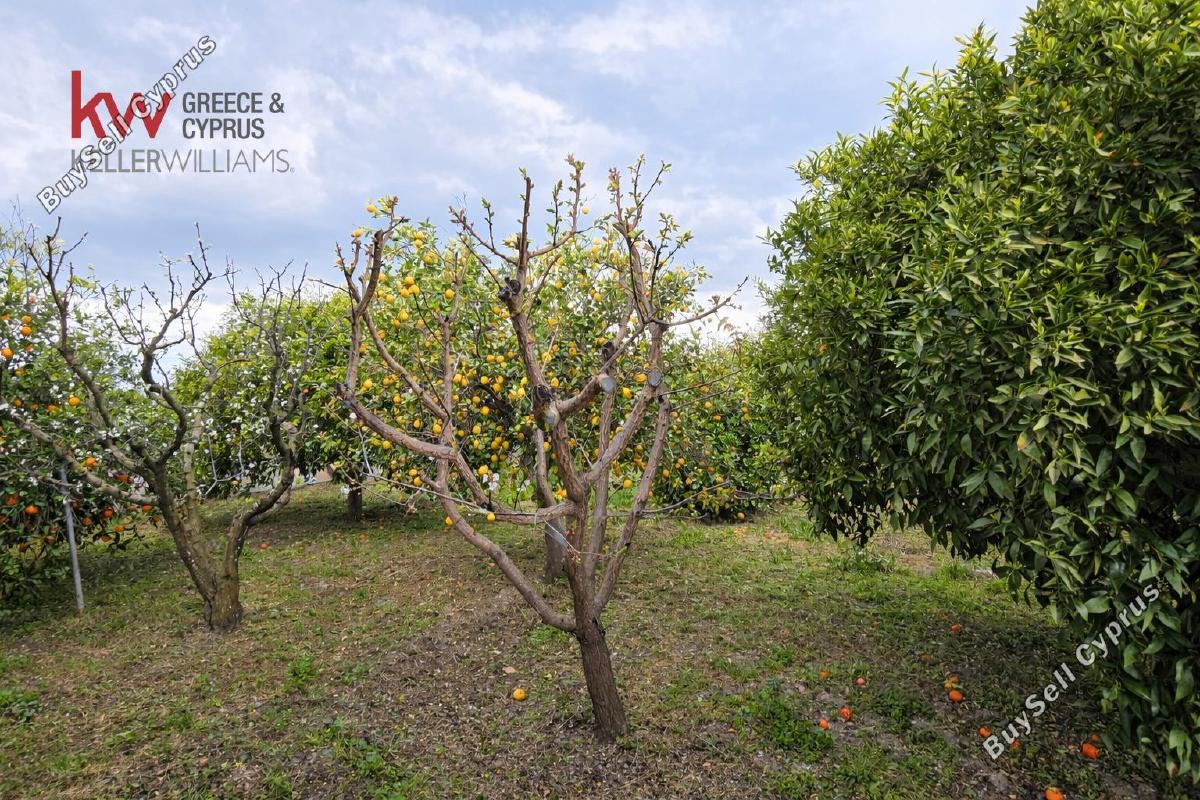 4 bedroom detached house for sale nisou nicosia 8437231 image 16137279