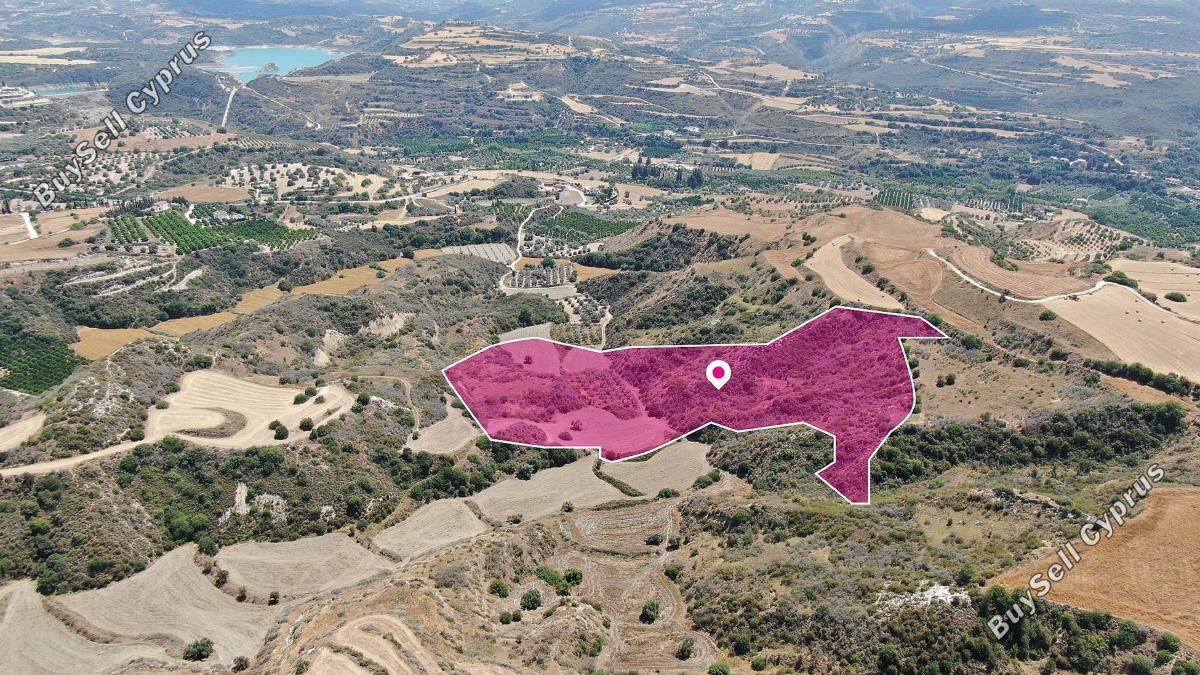 land for sale choli paphos 1557231 image 13347569