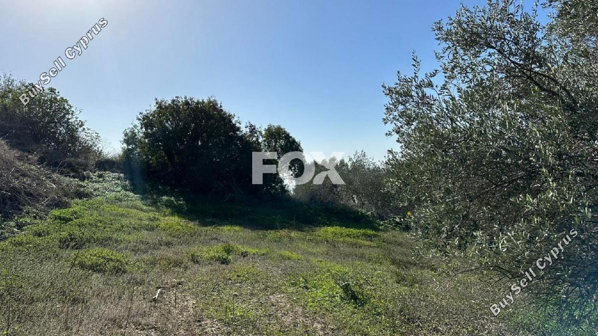 land for sale psathi paphos 1270231 image 10032376