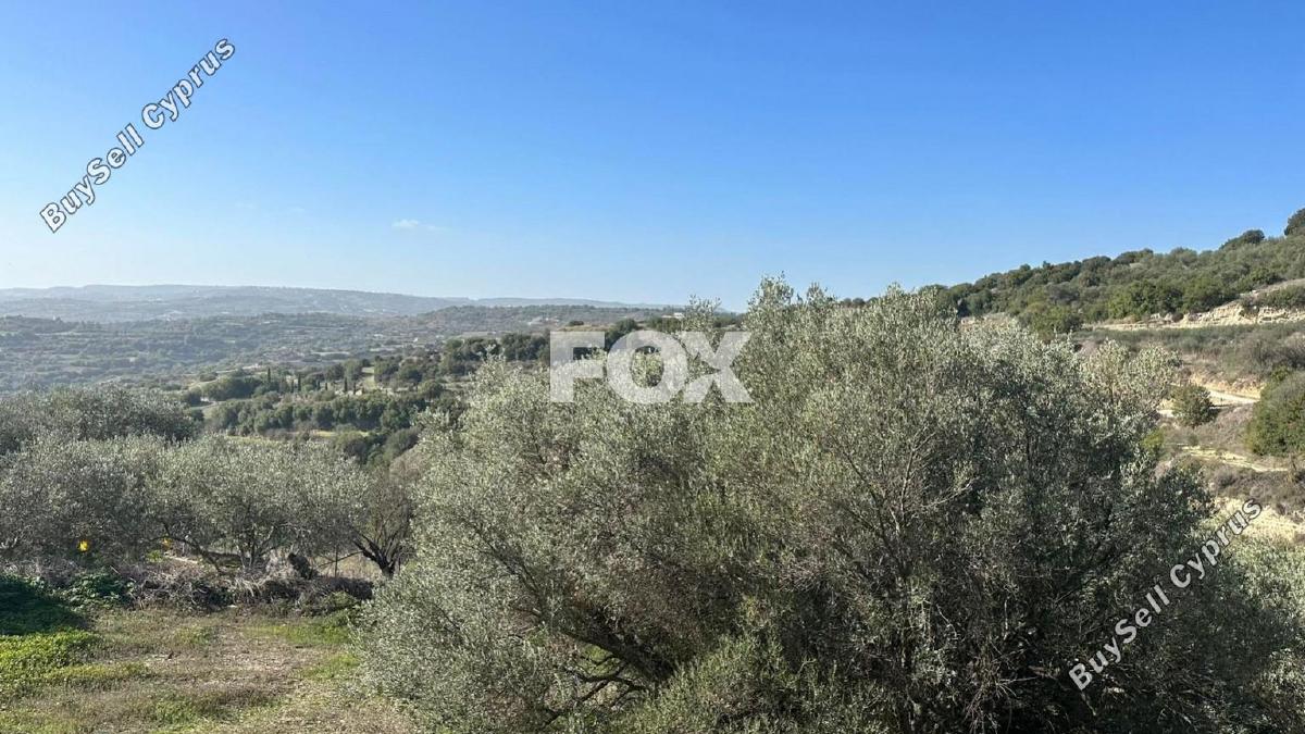 land for sale psathi paphos 1270231 image 10032387