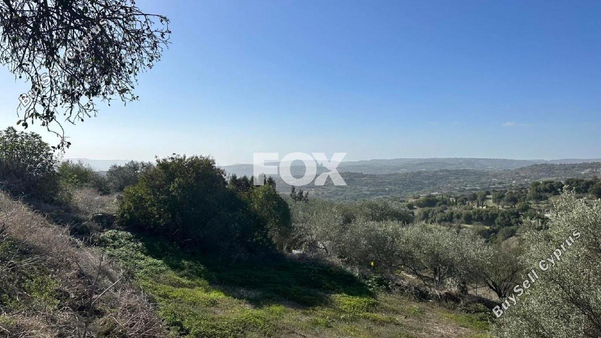 land for sale psathi paphos 1270231 image 10032388