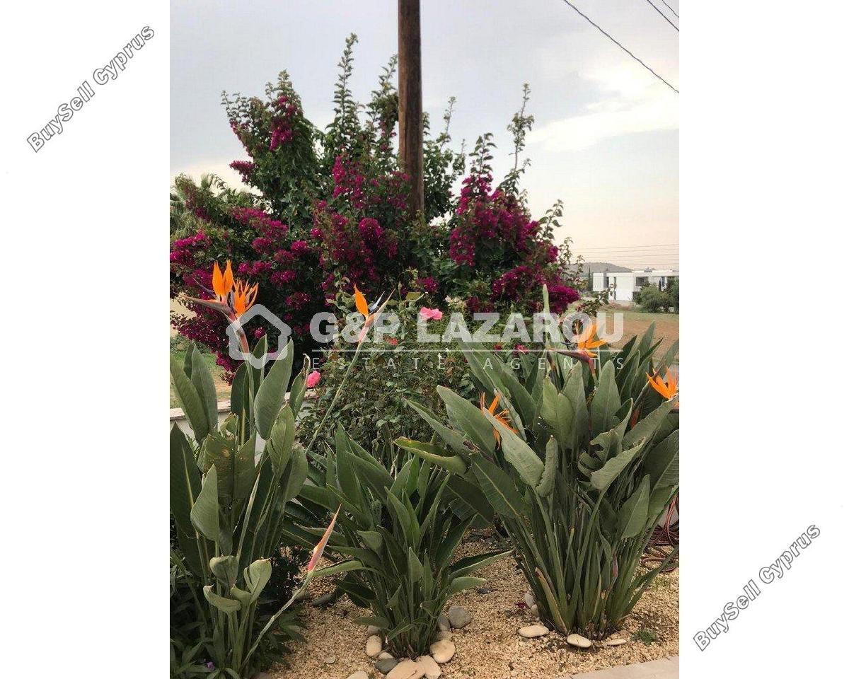 4 bedroom detached house for sale kallithea nicosia 7463331 image 12651194