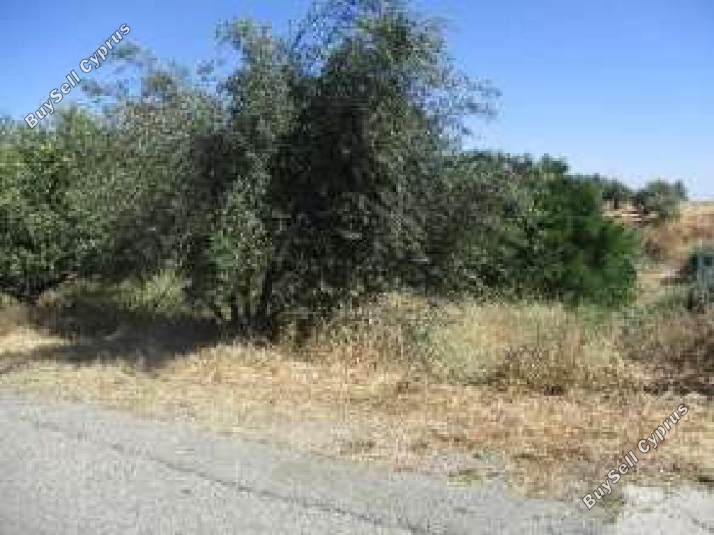 land for sale kalo chorio oreinis nicosia 8139331 image 15328217