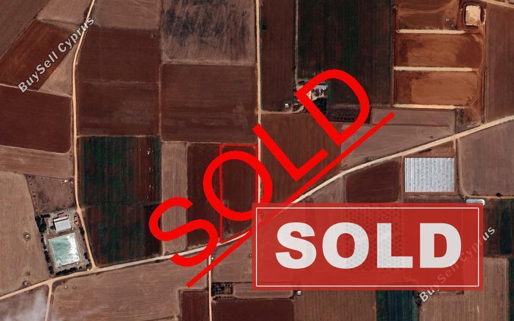 land sold ormideia larnaca 1558331 image 11161033