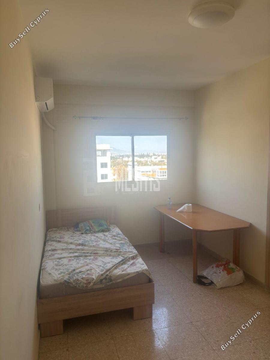 2 bedroom apartment for rent kaimakli nicosia 8598431 image 15746677