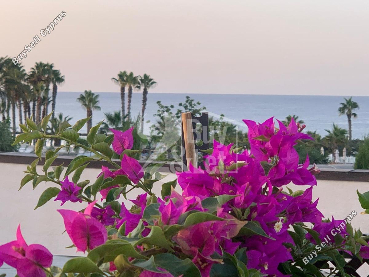 3 bedroom detached house for rent pyrgos limassol limassol 7592431 image 14925811