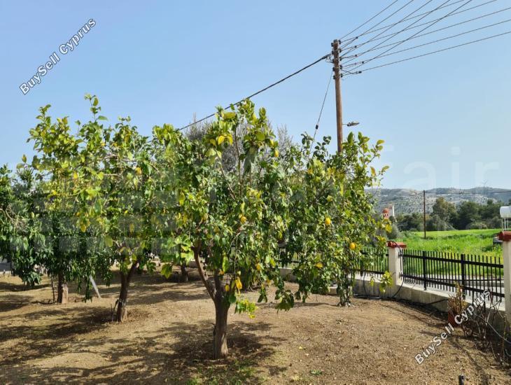 4 bedroom detached house for sale psevdas larnaca 8343431 image 17354916