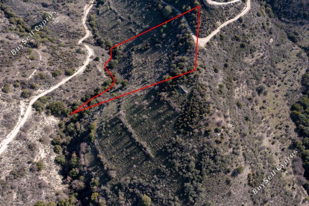 land for sale dora limassol 839431 image 5480853