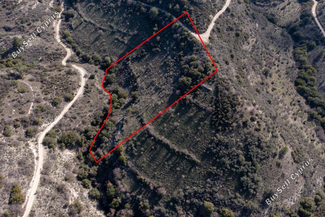 land for sale dora limassol 839431 image 5480856