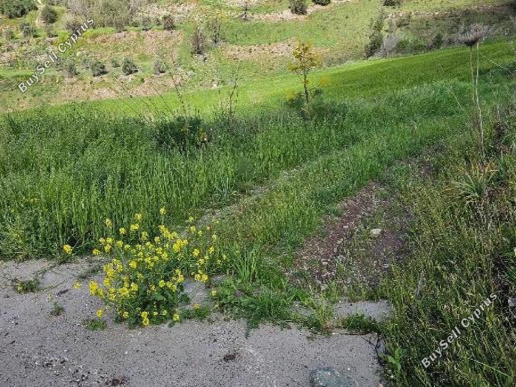 land for sale drynia paphos 7839431 image 15596525