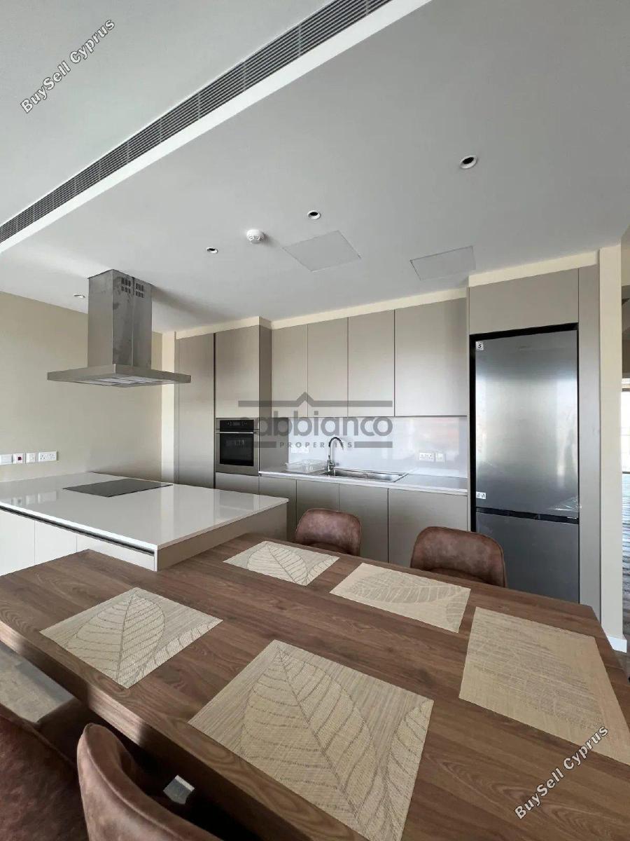 2 bedroom apartment for rent makedonitissa nicosia 8748531 image 16465801