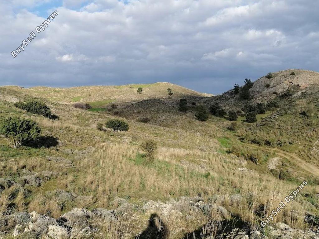 land for sale alampra nicosia 853531 image 9443327