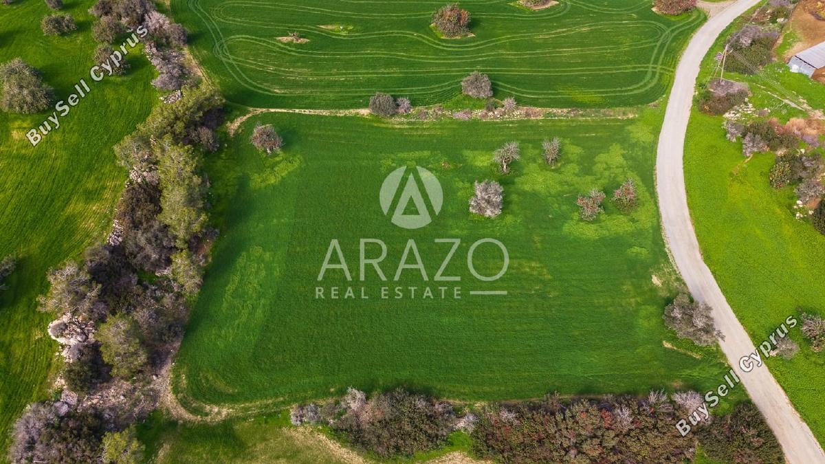 land for sale mazotos larnaca 8106531 image 13266831