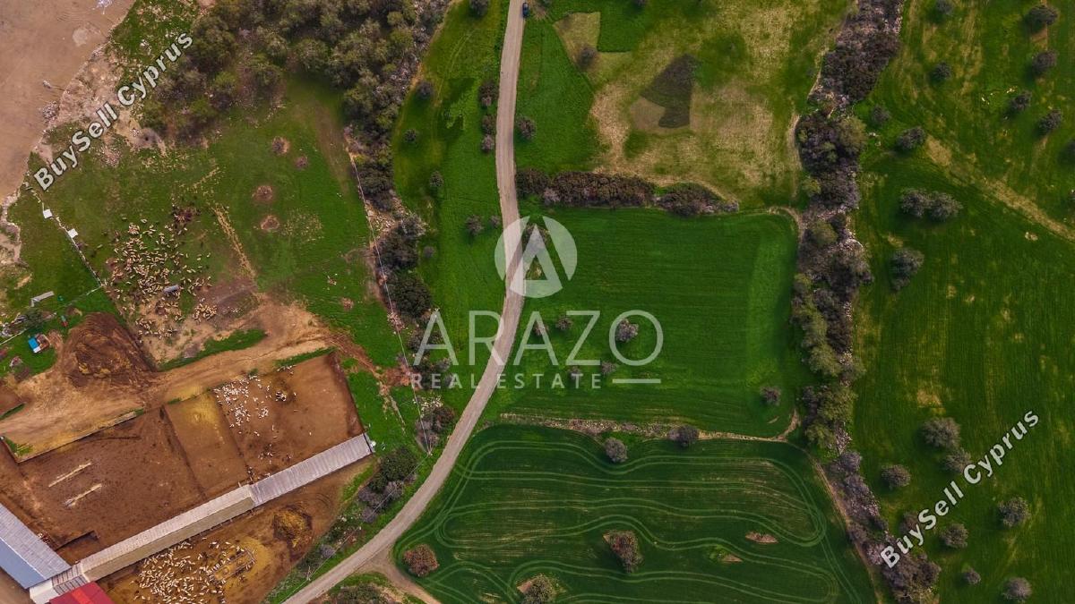 land for sale mazotos larnaca 8106531 image 13266832