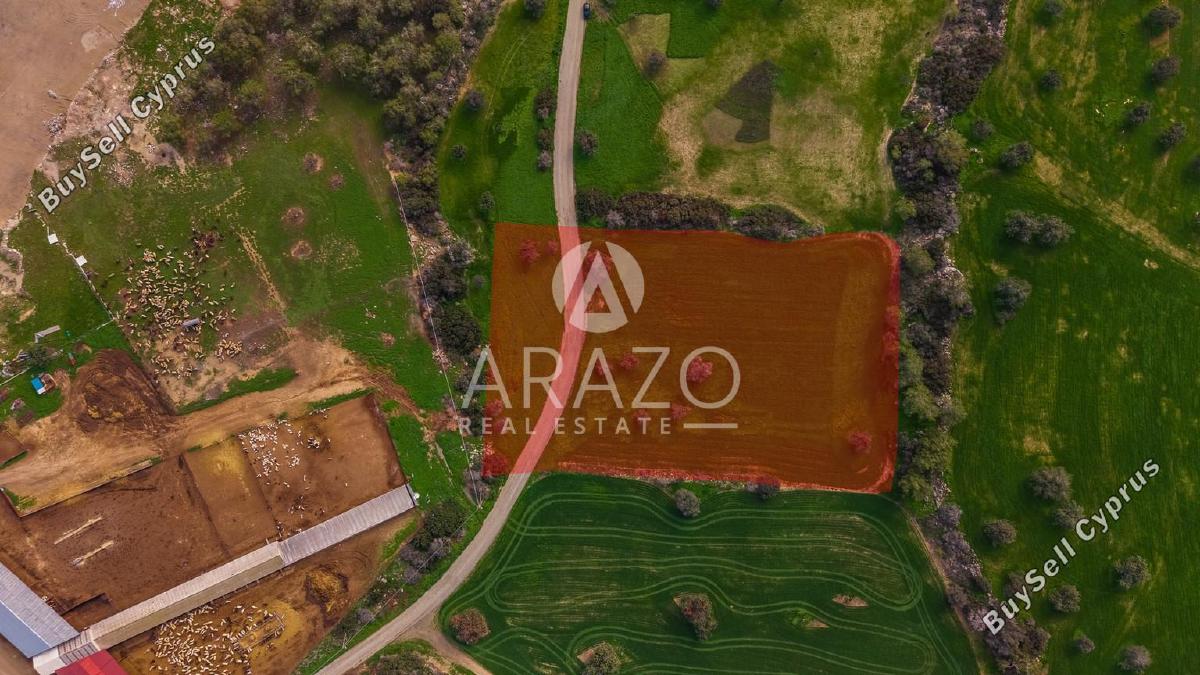 land for sale mazotos larnaca 8106531 image 13266838
