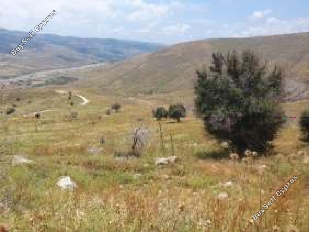 land for sale pentalia paphos 8629531 image 16717875