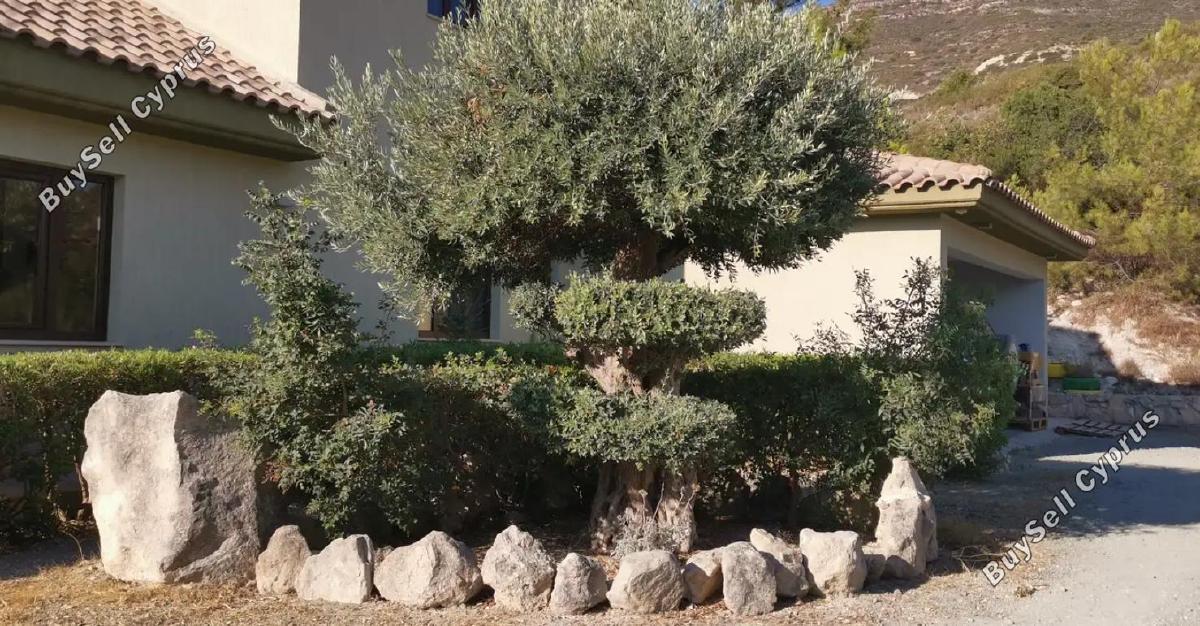 5 bedroom detached house for sale akrounta limassol 1929631 image 7576053