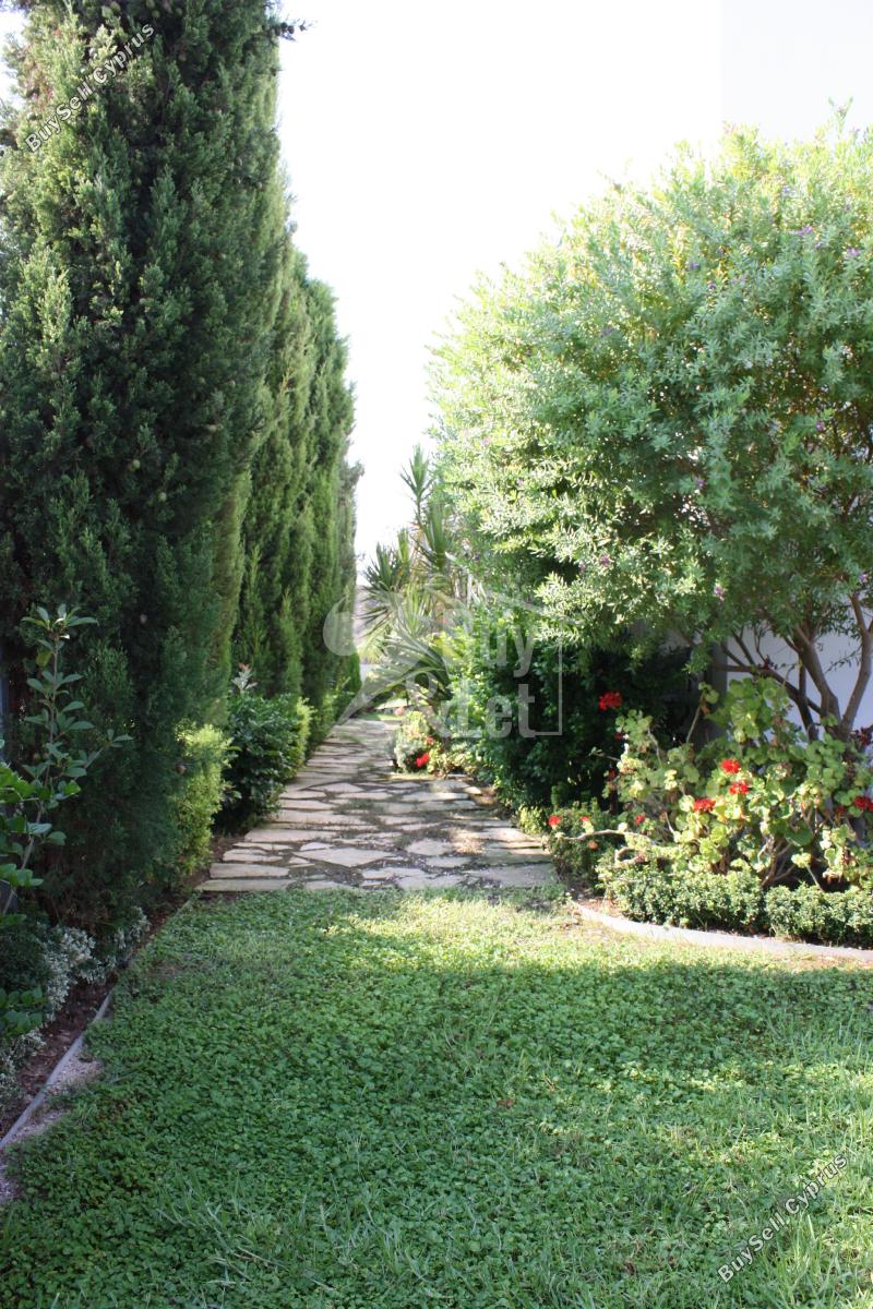 7 bedroom detached house for sale latsi paphos 8249631 image 14060894