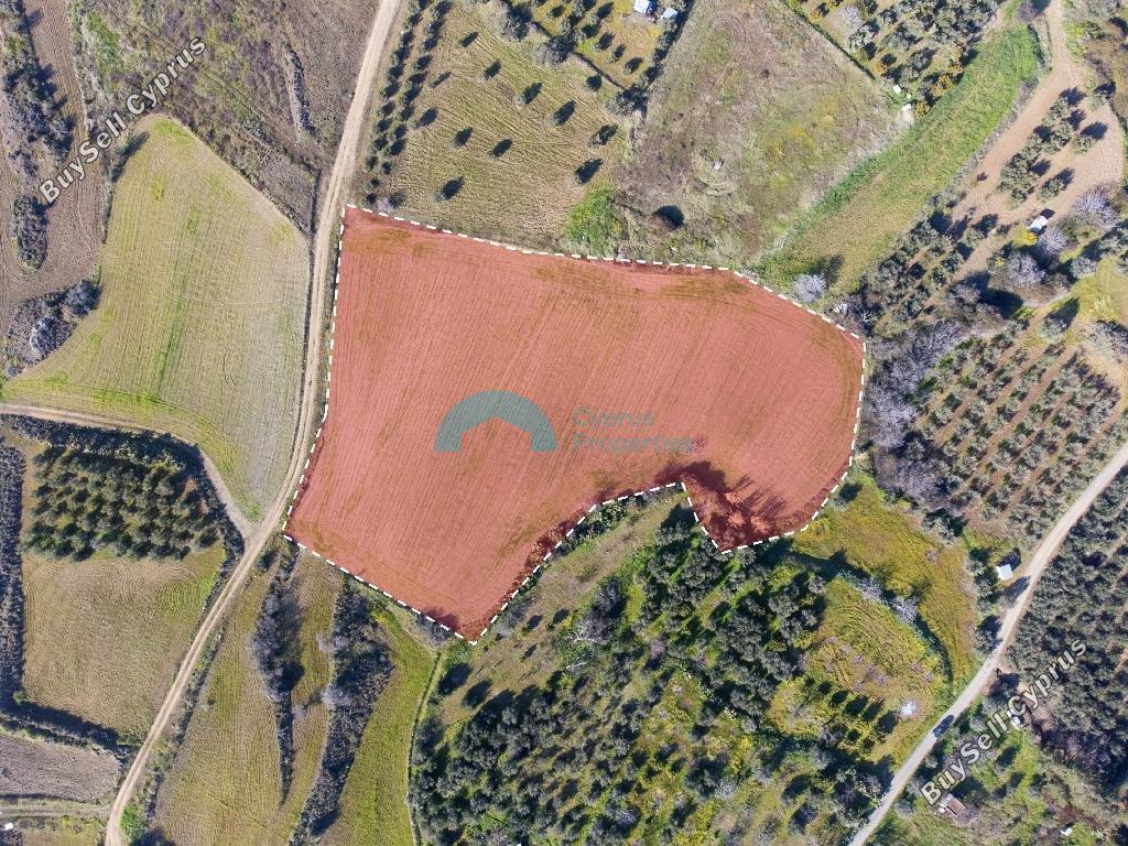 land for sale kalo chorio oreinis nicosia 1890631 image 7136552