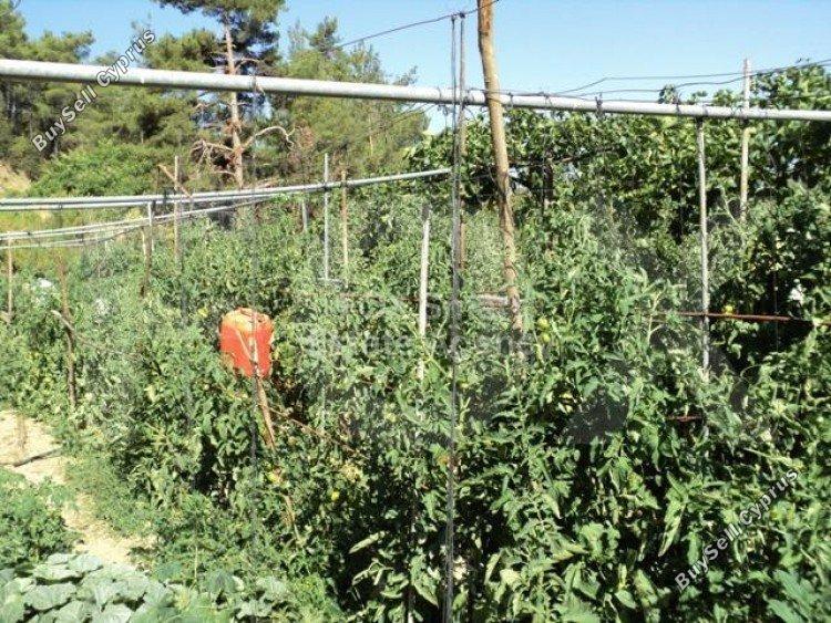 plot for sale spilia nicosia 1152631 image 5159276