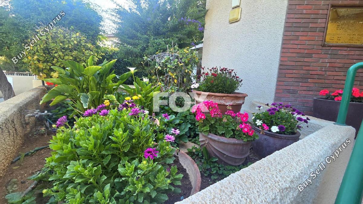 studio office for rent katholiki limassol 8531631 image 15539033