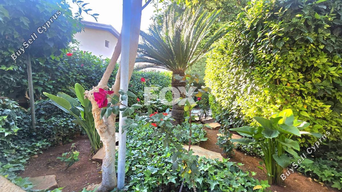 studio office for rent katholiki limassol 8531631 image 15539035