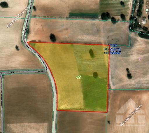 land for sale agios theodoros larnacas larnaca 8076731 image 16170878