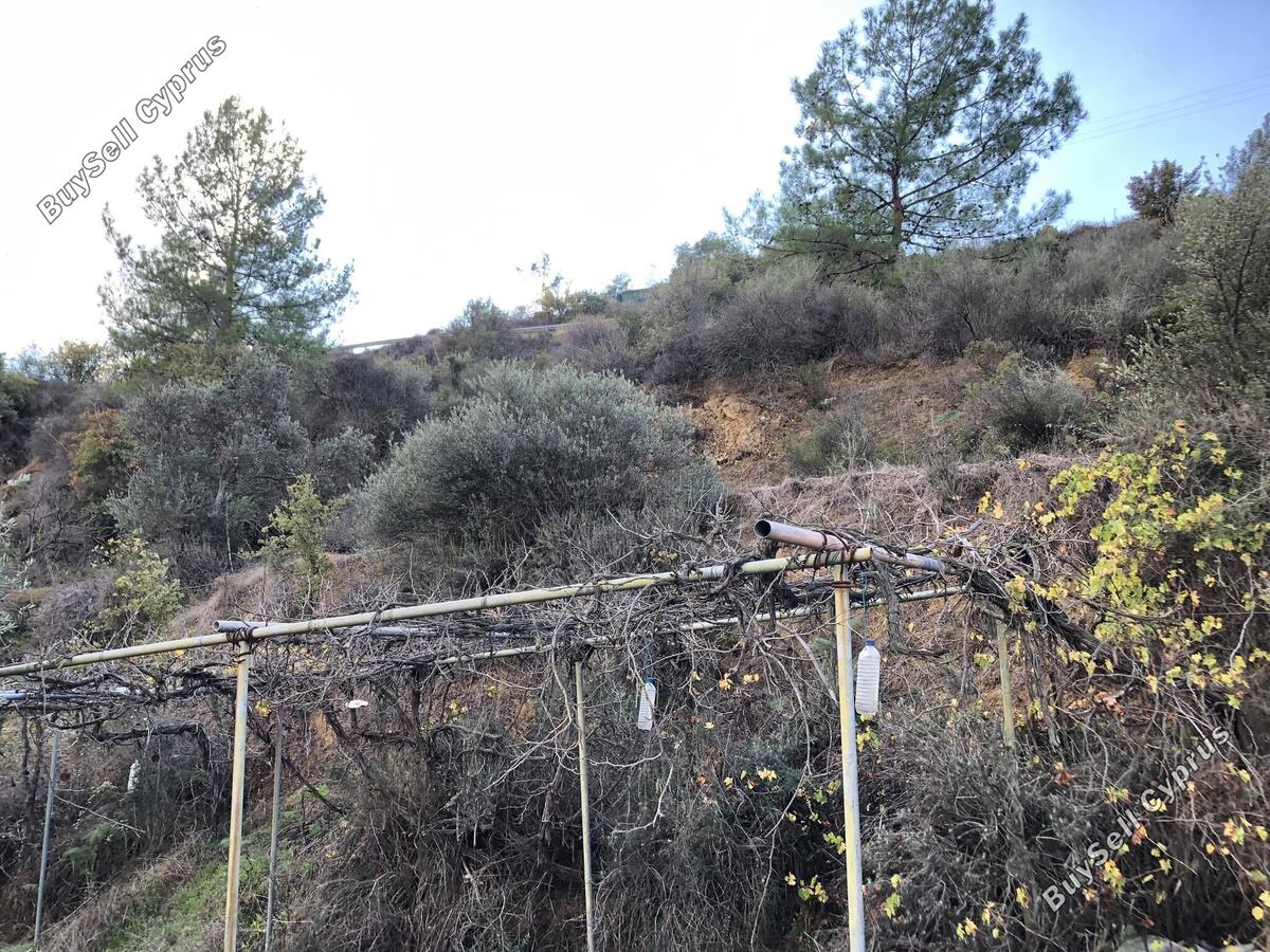 land for sale kellaki limassol 943731 image 1860880