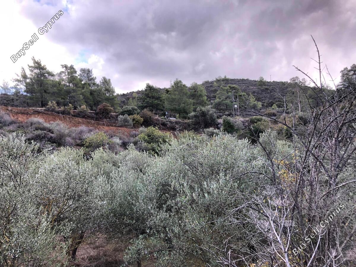land for sale kellaki limassol 943731 image 1860881