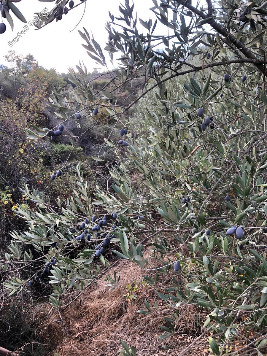 land for sale kellaki limassol 943731 image 1860883