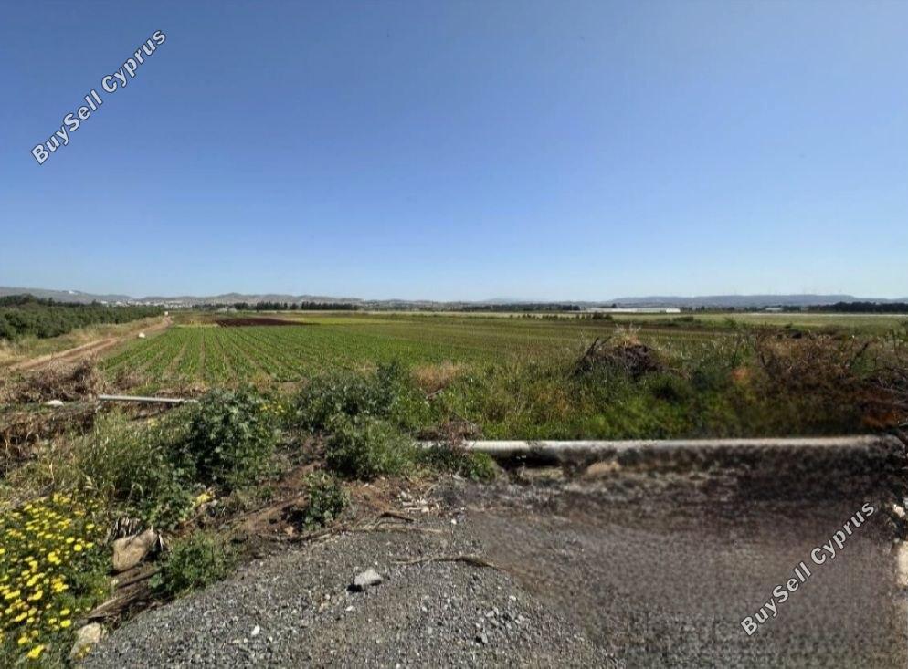 land for sale timi paphos 8495731 image 15312413