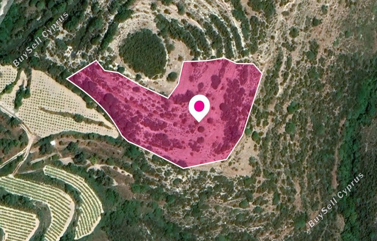 8696 SQM Land for sale in Koili, Paphos 15870024