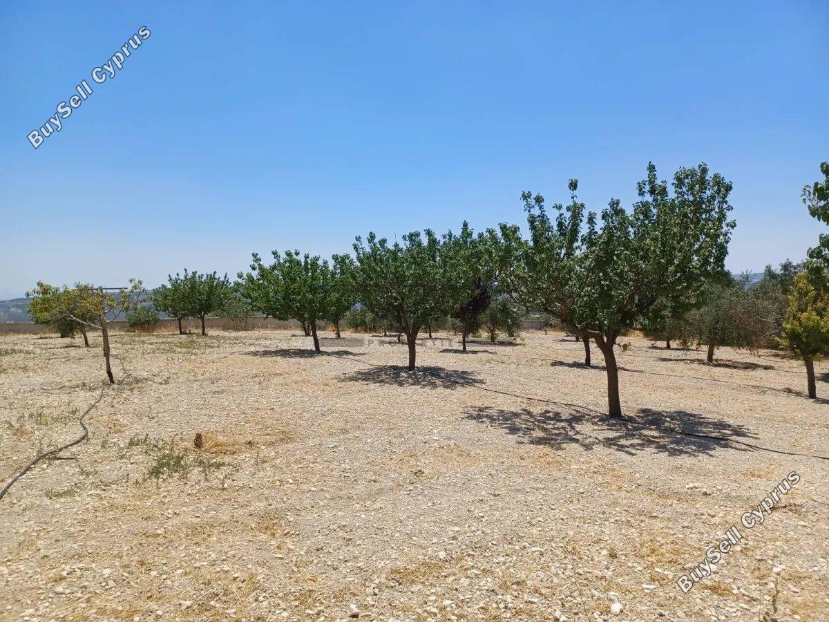 3 bedroom detached house for sale agios therapon limassol 8747831 image 16457253