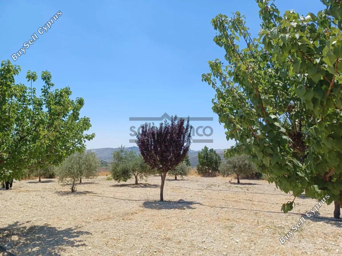 3 bedroom detached house for sale agios therapon limassol 8747831 image 16457255
