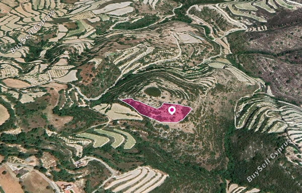 land for sale koili paphos 8629831 image 15870021