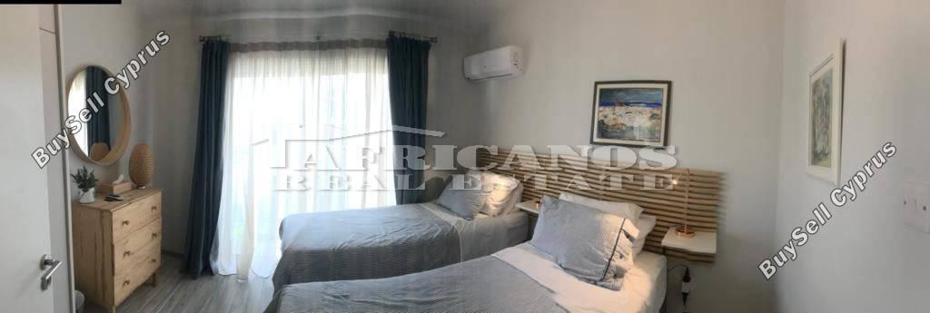 2 bedroom linked detached house for rent dekeleia larnaca 8338931 image 16658376