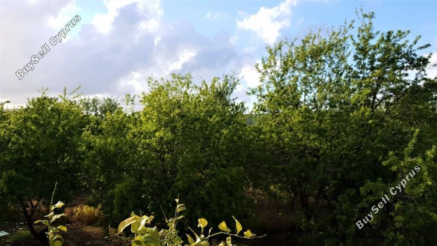 4 bedroom detached house for sale polemi paphos 7792041 image 10455122