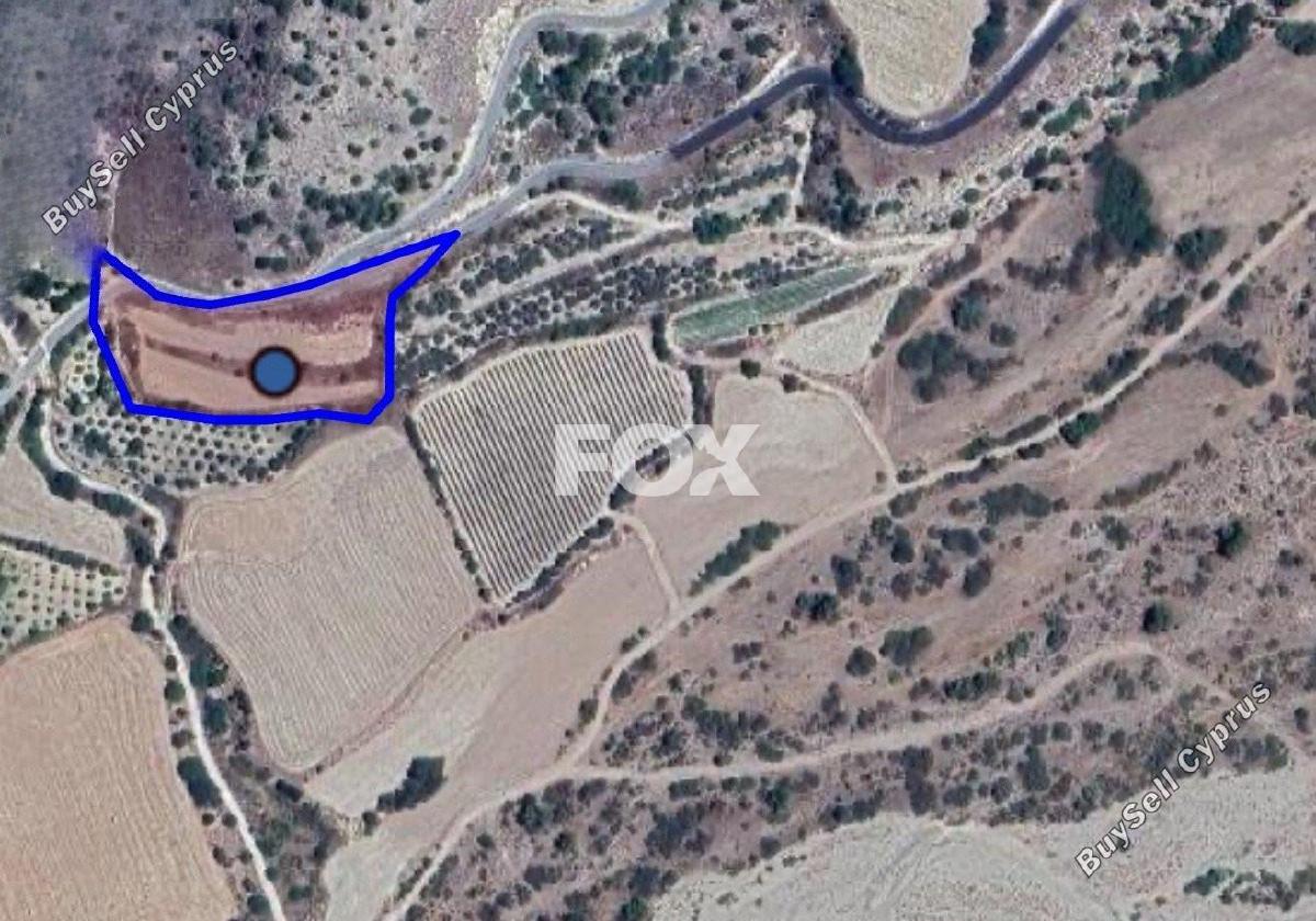 land for sale amargeti paphos 1509041 image 5630436