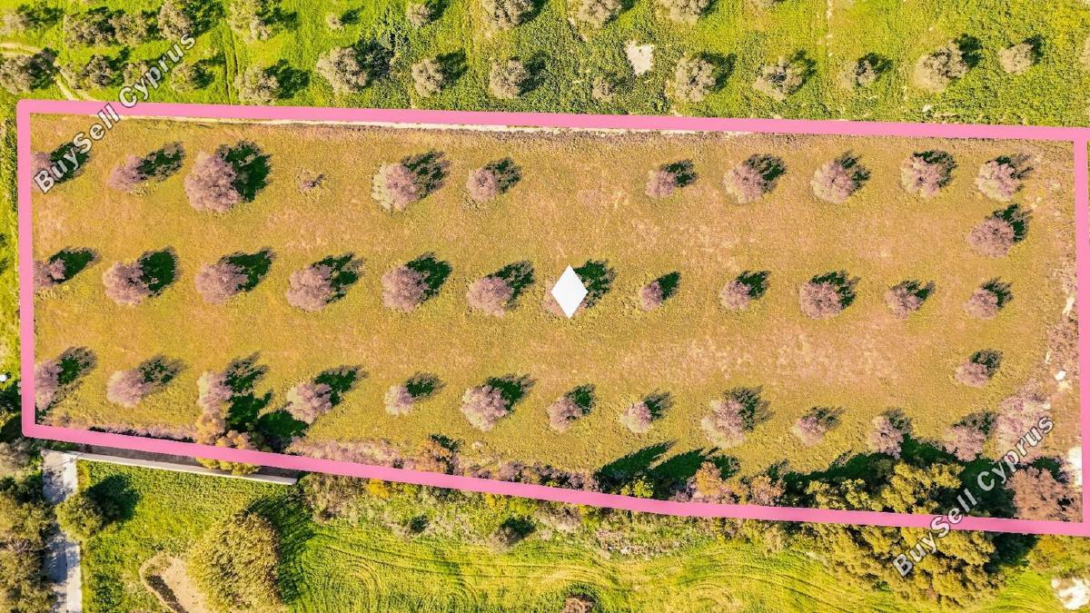 land for sale dekeleia larnaca 1792041 image 14321958