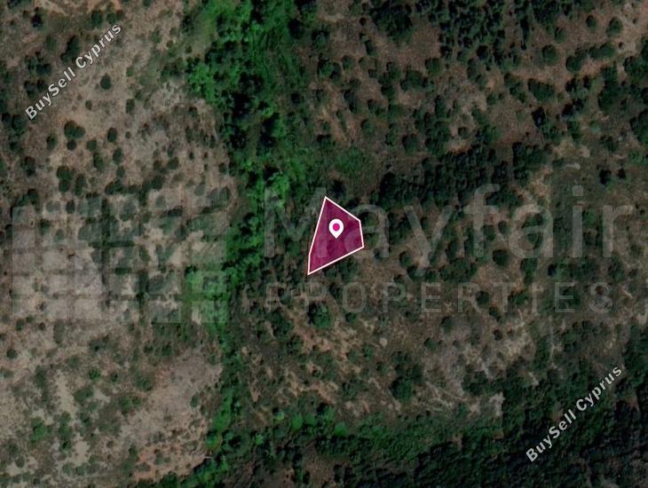 land for sale sykopetra limassol 7872041 image 11383934