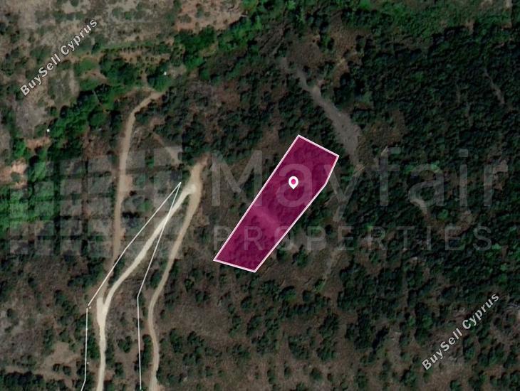 land for sale sykopetra limassol 7872041 image 11383936