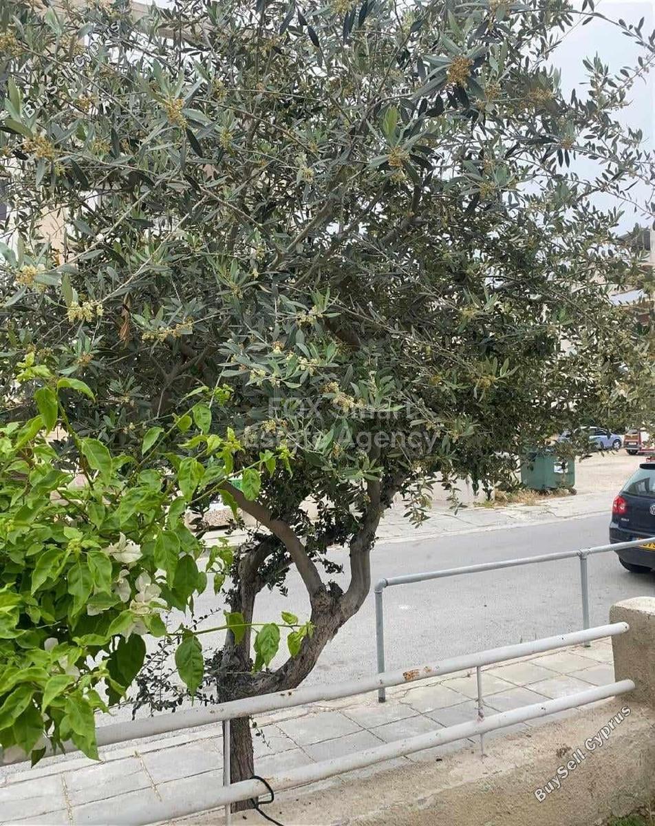 4 bedroom detached house for sale acropolis nicosia 1540141 image 5203104