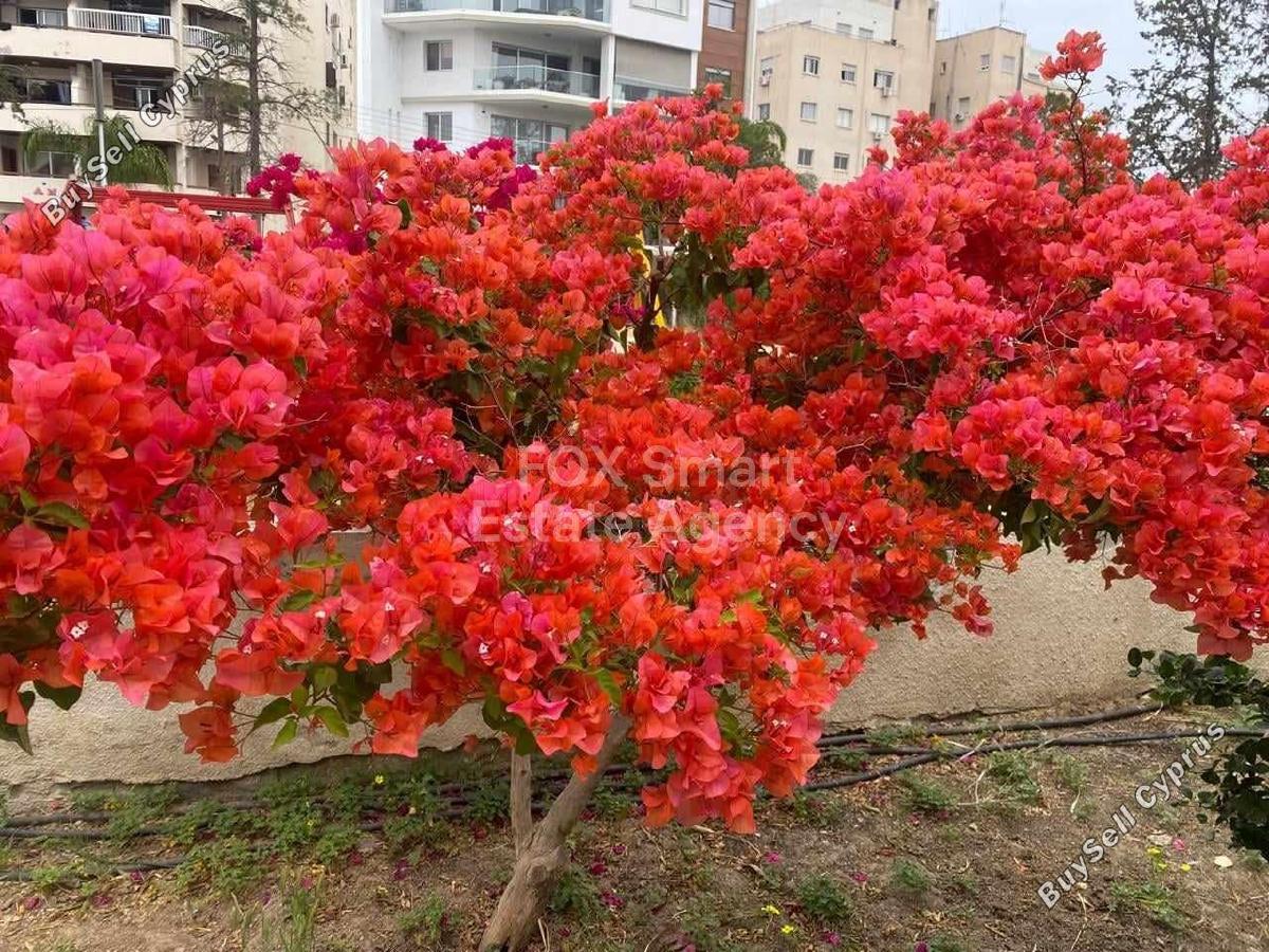 4 bedroom detached house for sale acropolis nicosia 1540141 image 5203112