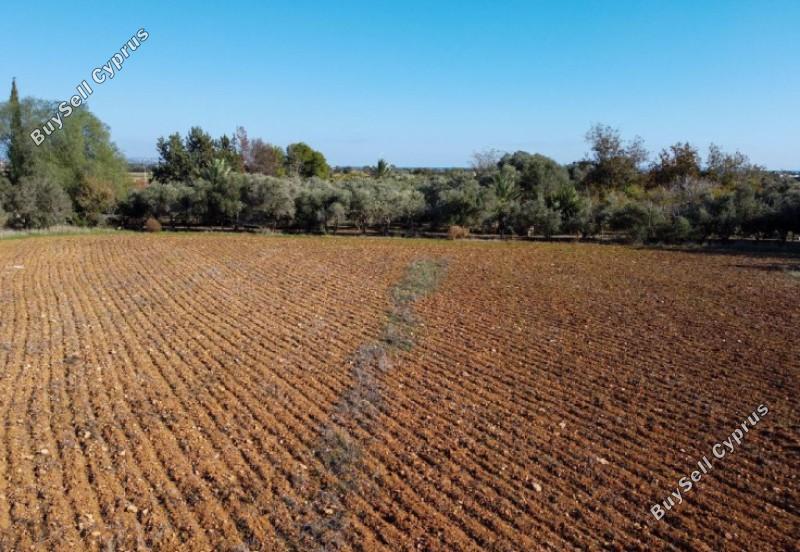 land for sale xylofagou larnaca 1637141 image 15839230